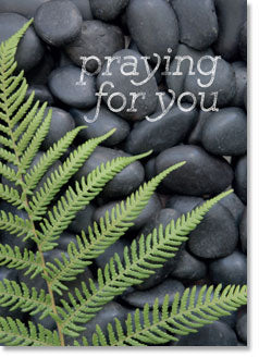 Praying for You: Pebbles and bracken