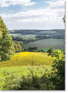Thinking of You : Kent Scene (order in 6)