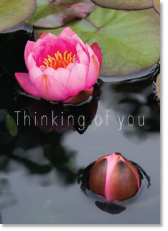 Thinking of You : Water Lillies (order in 6)