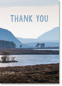 Thank You :  Oystercatcher on post (order in 6)