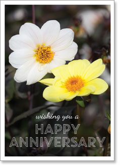 Happy Anniversary: White and yellow dahlias (order in 6)