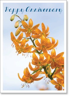 Happy Anniversary : Orange lily stem (order in 6)