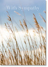 Sympathy - Evening Grasses (order in 6)