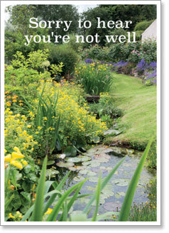 Get Well - The Garden Pond (order in 6)