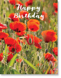 Happy Birthday -   Poppies