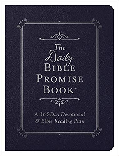 The Bible Promise Book for Men--Barbour SKJV Prayer Edition