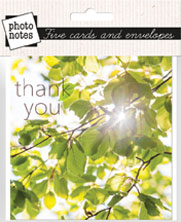 Thank You Notecards - Beech Leaves