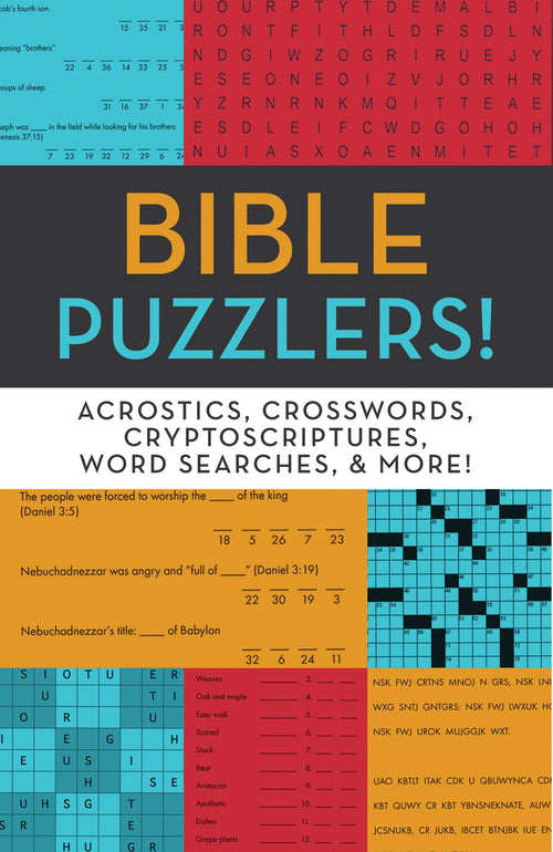 Bible Puzzlers! : Great Bible Word Games to Inspire and Entertain