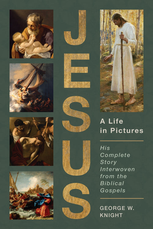 Jesus, a Life in Pictures : His Complete Story Interwoven from the Biblical Gospels
