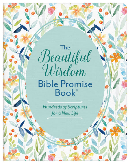 The Bible Promise Book for Bad Days (Jean Fischer)