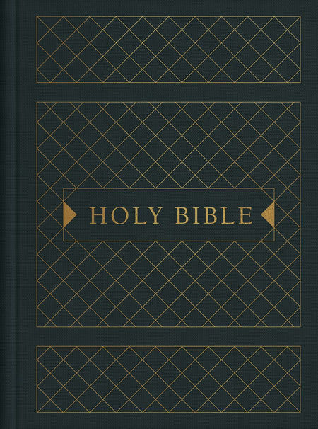 NLT Premium Value Compact Bible, Filament-Enabled Edition (LeatherLike, Black Mountainscape)
