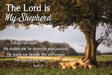 Small Poster - The Lord is My Shepherd Psalm 23