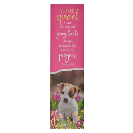 Sunday School/Teacher Bookmark Set (ORDER IN 3'S) - Fearfully and Wonderfully Made
