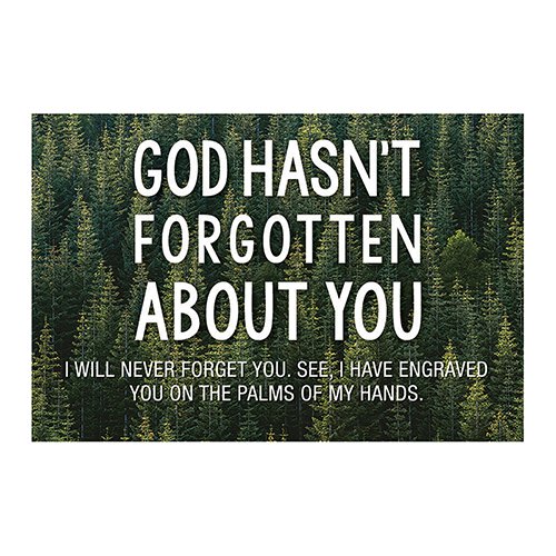 Pass it On (25 Cards) - God Hasn't Forgotten