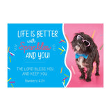 Pass it On (25 Cards) - Life is Better with Sprinkles