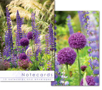 Notecard – Just To Say : Cottage Garden Scenes