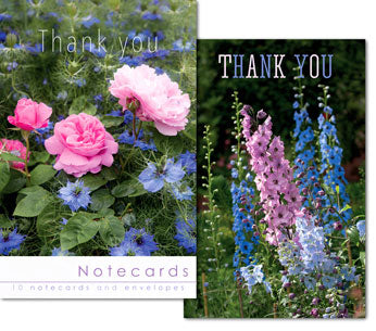 Notecards Thank You: Delphinium and roses